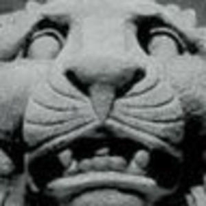 Meet your Posher, Timothy